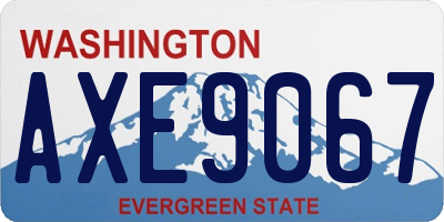 WA license plate AXE9067