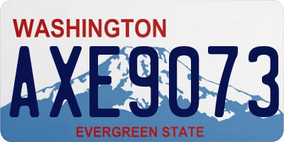 WA license plate AXE9073