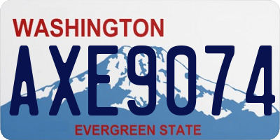 WA license plate AXE9074