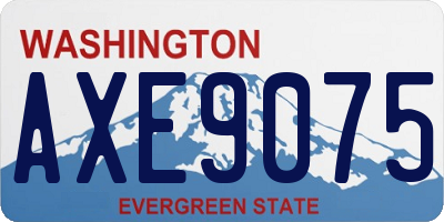WA license plate AXE9075