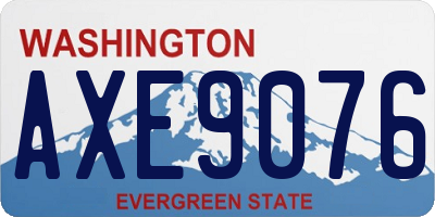 WA license plate AXE9076