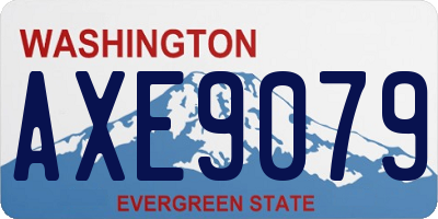 WA license plate AXE9079