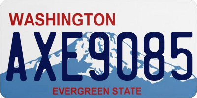 WA license plate AXE9085
