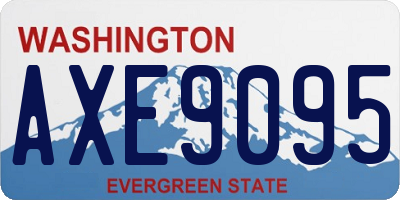 WA license plate AXE9095