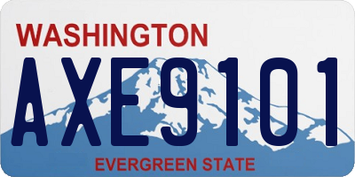 WA license plate AXE9101