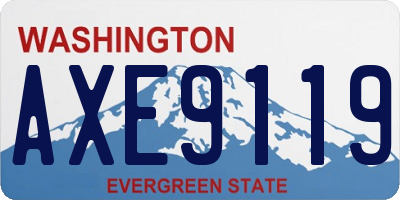 WA license plate AXE9119
