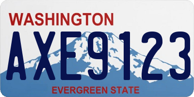 WA license plate AXE9123