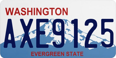 WA license plate AXE9125