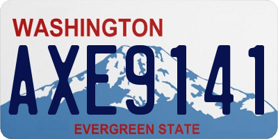 WA license plate AXE9141