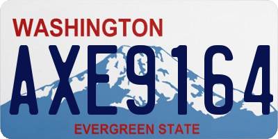 WA license plate AXE9164