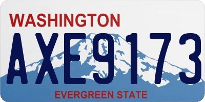 WA license plate AXE9173