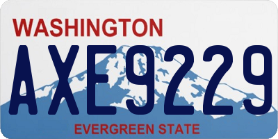 WA license plate AXE9229