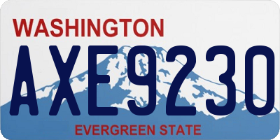 WA license plate AXE9230