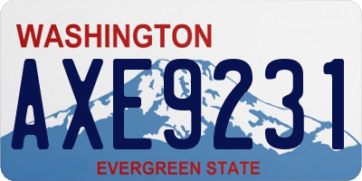 WA license plate AXE9231