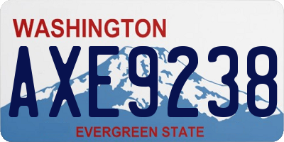 WA license plate AXE9238