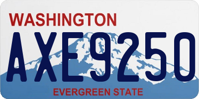 WA license plate AXE9250