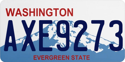 WA license plate AXE9273