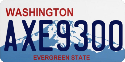 WA license plate AXE9300