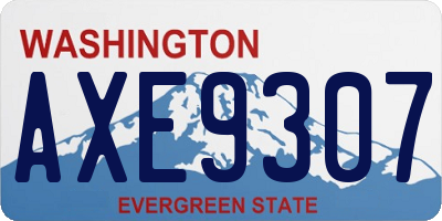 WA license plate AXE9307