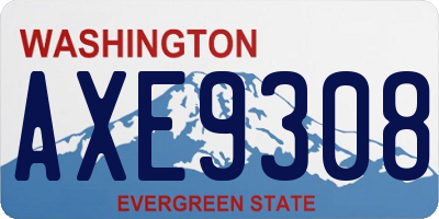 WA license plate AXE9308