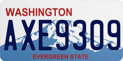 WA license plate AXE9309