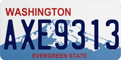 WA license plate AXE9313