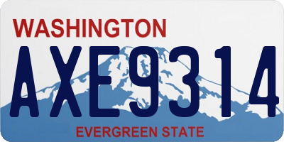 WA license plate AXE9314