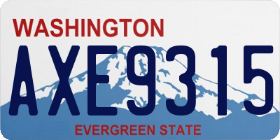 WA license plate AXE9315