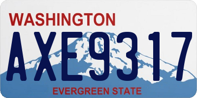 WA license plate AXE9317