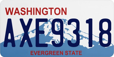 WA license plate AXE9318