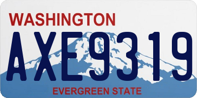 WA license plate AXE9319
