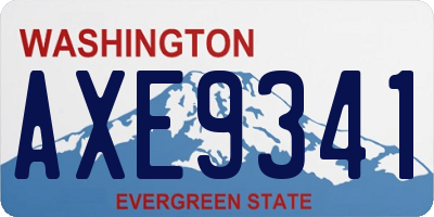 WA license plate AXE9341