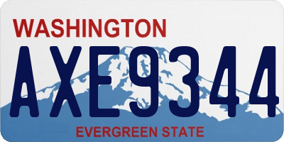 WA license plate AXE9344