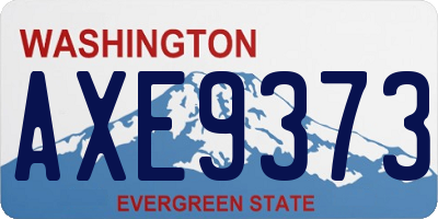 WA license plate AXE9373