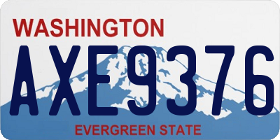 WA license plate AXE9376