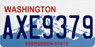 WA license plate AXE9379
