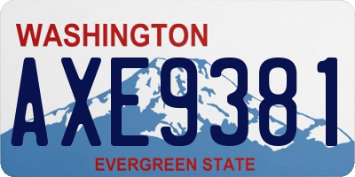 WA license plate AXE9381