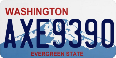 WA license plate AXE9390