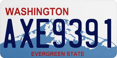 WA license plate AXE9391