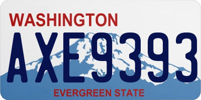 WA license plate AXE9393