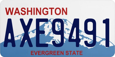 WA license plate AXE9491