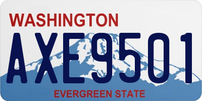 WA license plate AXE9501