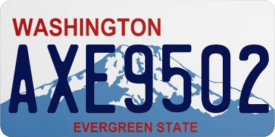 WA license plate AXE9502