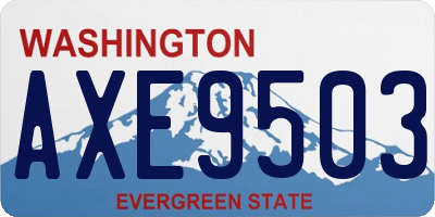 WA license plate AXE9503