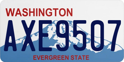 WA license plate AXE9507