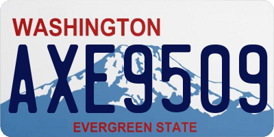 WA license plate AXE9509