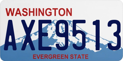 WA license plate AXE9513