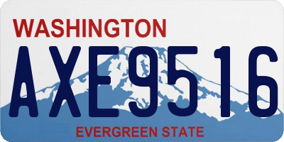 WA license plate AXE9516