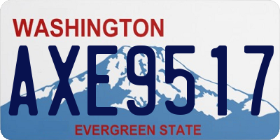WA license plate AXE9517