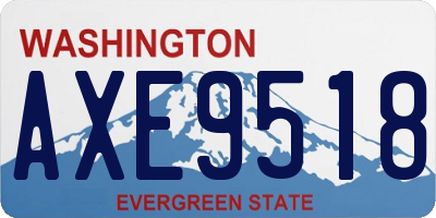 WA license plate AXE9518